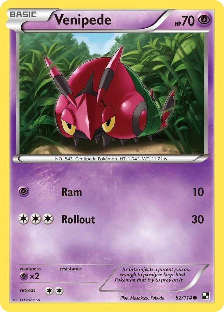 Image for Venipede (52/114) (BLW) - Pokemon
