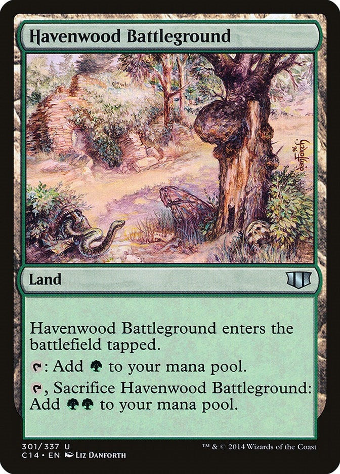 Image for Havenwood Battleground (301) - Magic: The Gathering