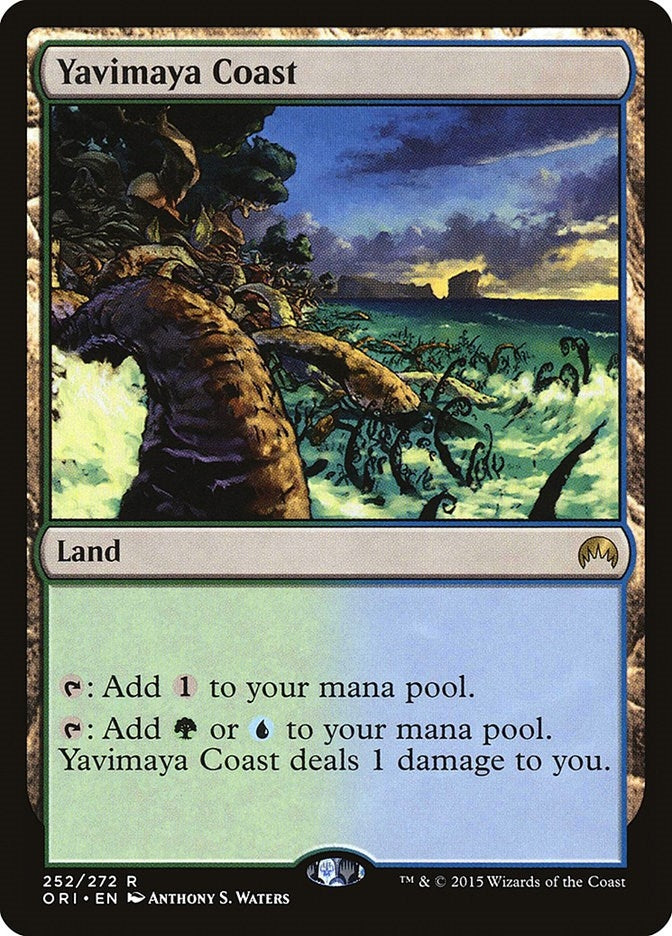 Image for Yavimaya Coast (252) - Magic: The Gathering