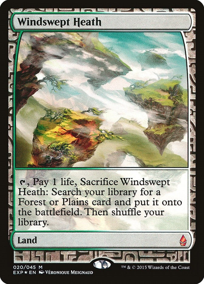 Image for Windswept Heath (20) - Magic: The Gathering