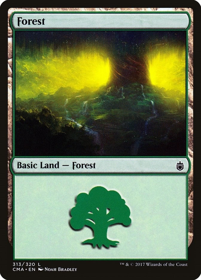 Image for Forest (313) (313) - Magic: The Gathering