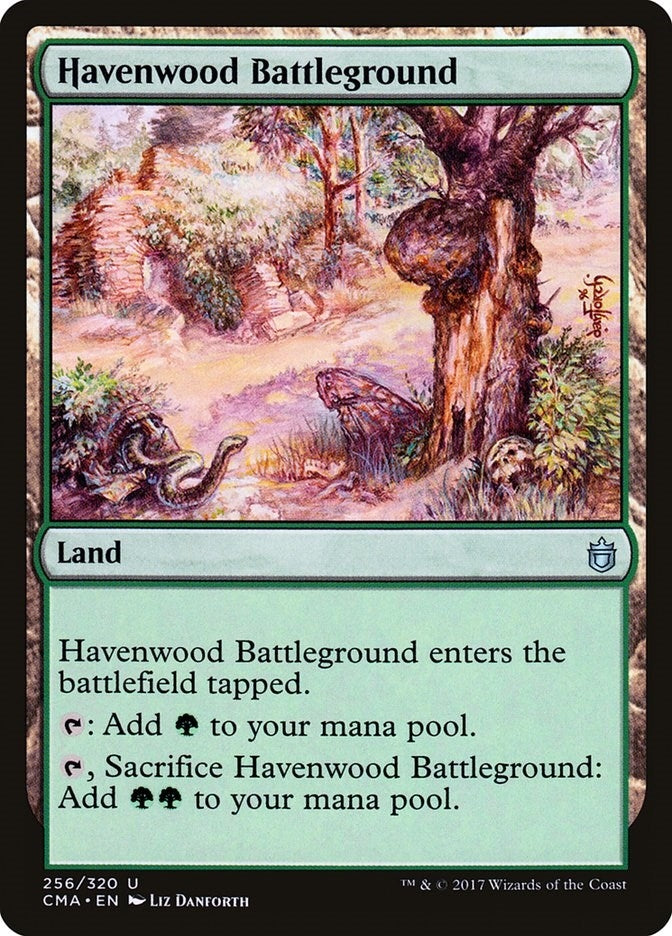 Image for Havenwood Battleground (256) - Magic: The Gathering