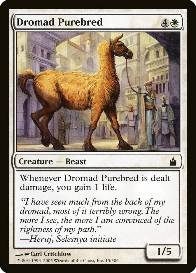 Image for Dromad Purebred (15) - Magic: The Gathering