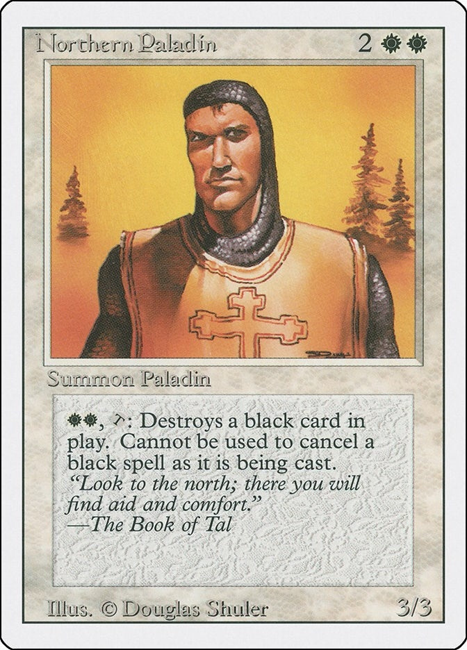 Image for Northern Paladin - Magic: The Gathering