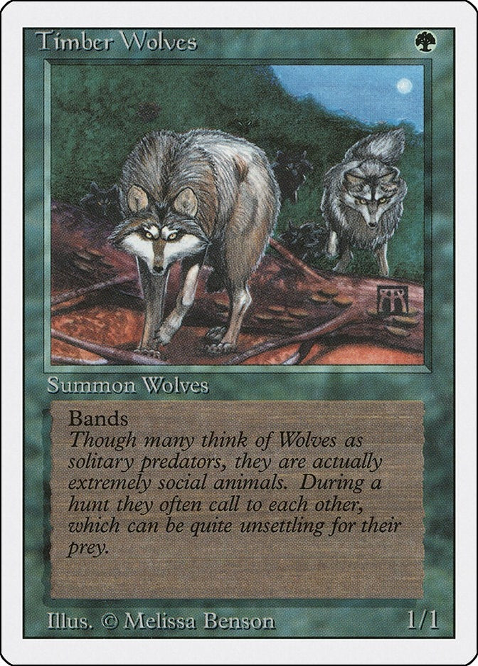 Image for Timber Wolves - Magic: The Gathering