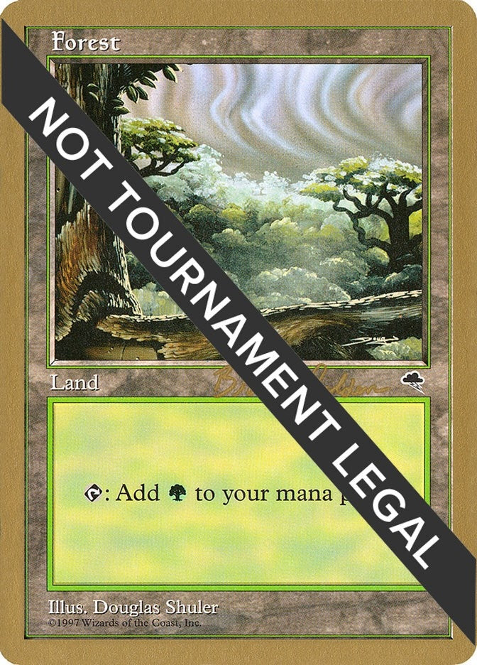 Image for Forest (Cloudy) - 1998 Brian Selden (TMP) - Magic: The Gathering