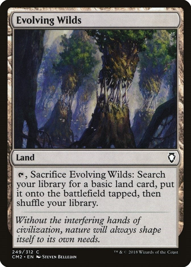 Image for Evolving Wilds (249) - Magic: The Gathering