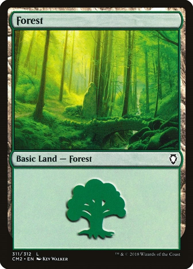 Image for Forest (311) (311) - Magic: The Gathering