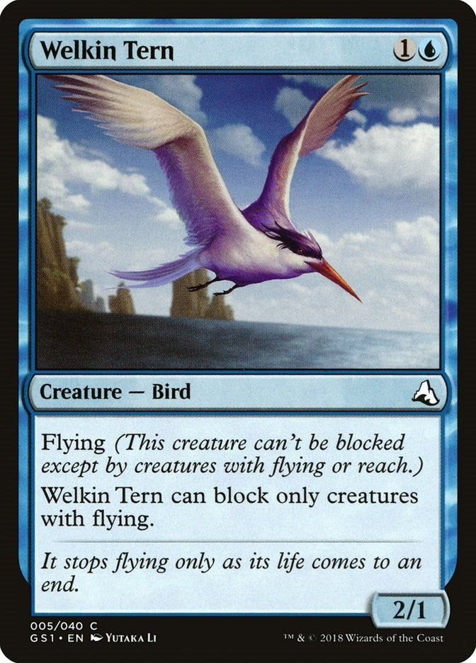 Image for Welkin Tern (5) - Magic: The Gathering