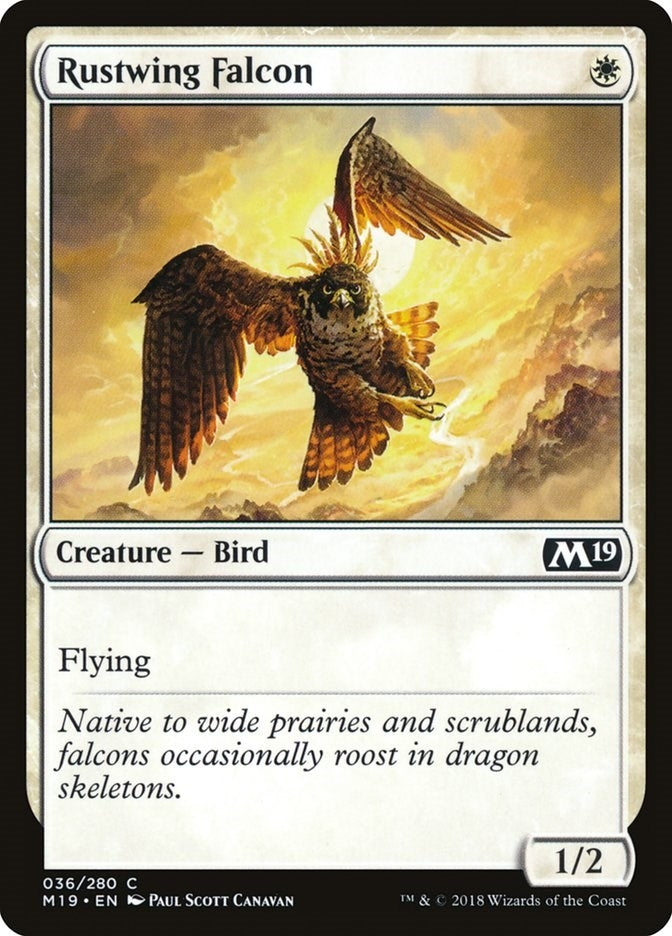 Image for Rustwing Falcon (36) - Magic: The Gathering