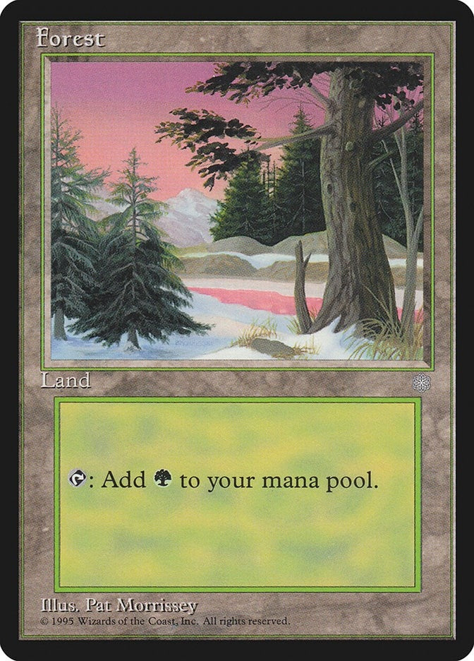 Image for Forest (329) (329) - Magic: The Gathering
