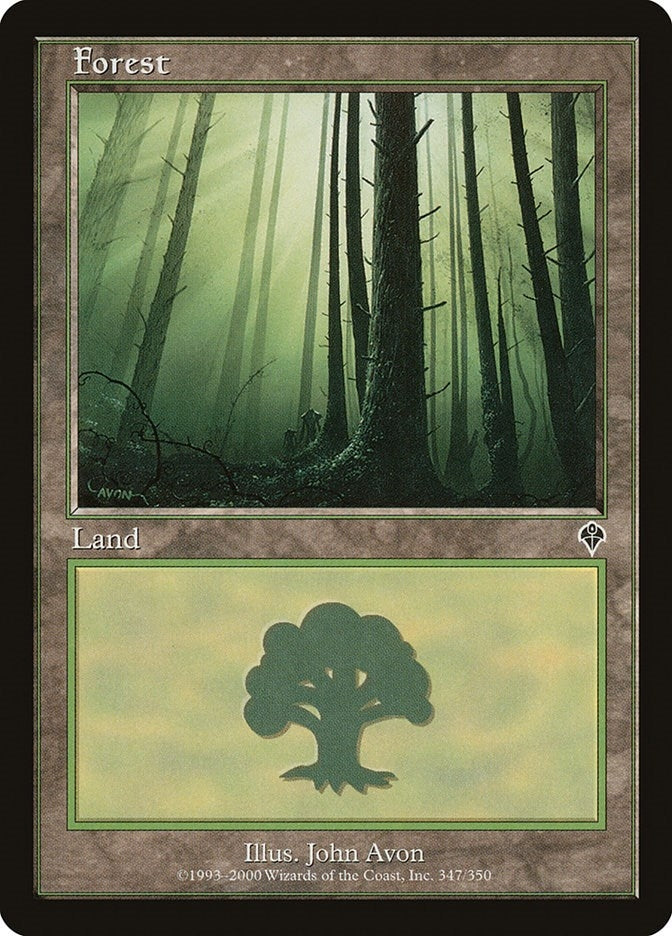Image for Forest (347) (347) - Magic: The Gathering