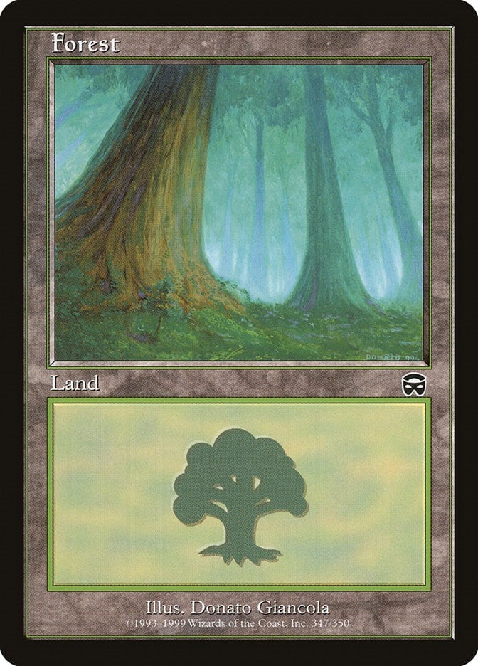 Image for Forest (347) (347) - Magic: The Gathering