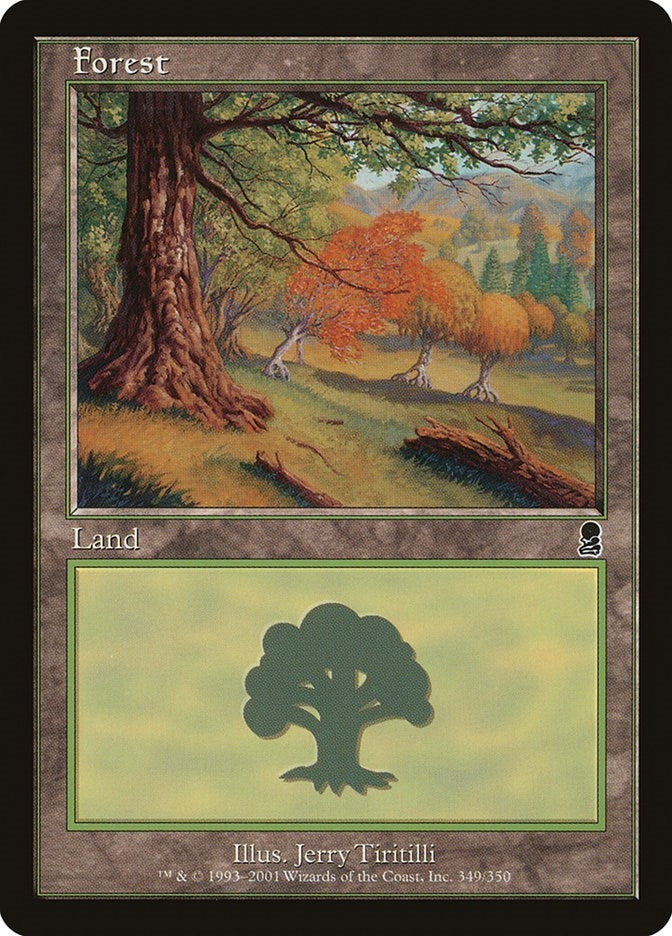 Image for Forest (349) (349) - Magic: The Gathering
