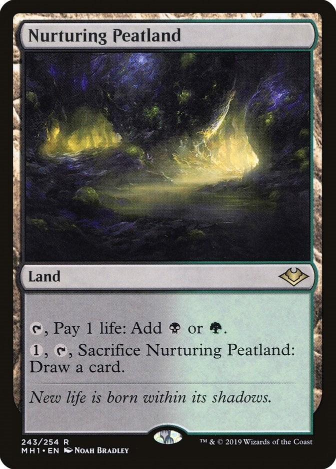 Image for Nurturing Peatland (243) (MH1) - Magic: The Gathering
