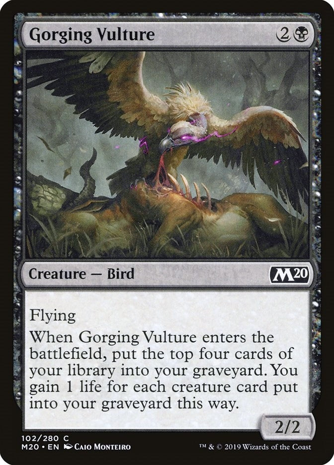 Image for Gorging Vulture (102) - Magic: The Gathering