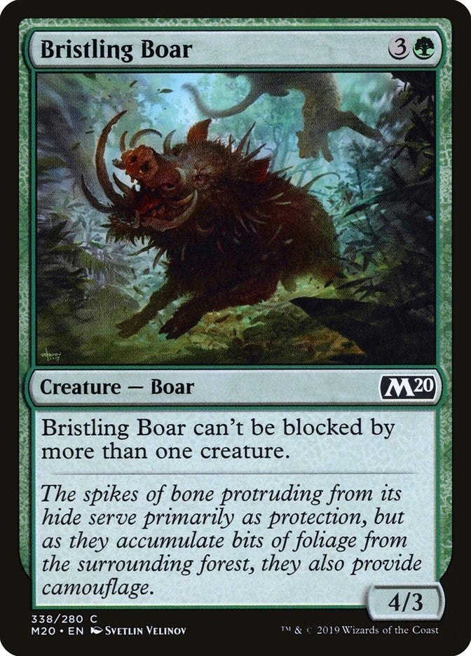Image for Bristling Boar (338) - Magic: The Gathering