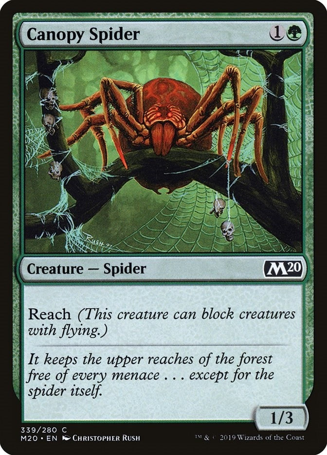 Image for Canopy Spider (339) - Magic: The Gathering