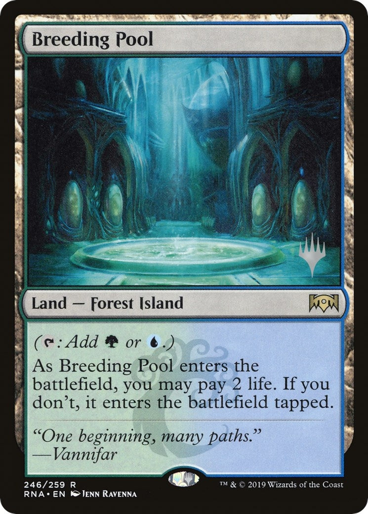 Image for Breeding Pool (246) - Magic: The Gathering