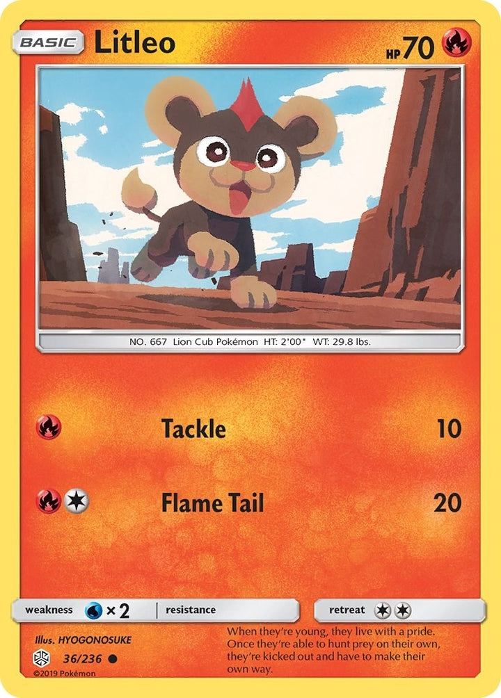 Image for Litleo (36/236) (SM12) - Pokemon
