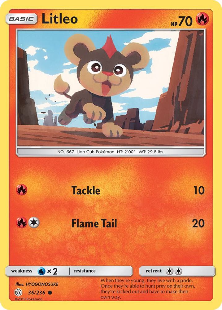 Image for Litleo (36/236) (SM12) - Pokemon