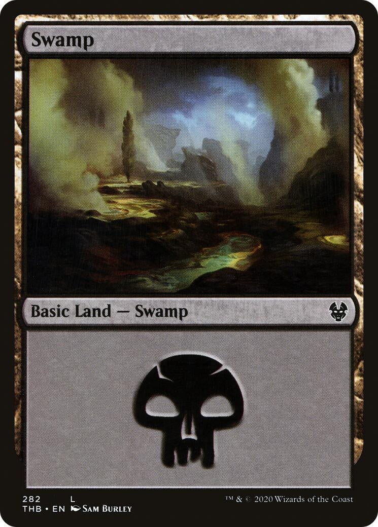 Image for Swamp (282) (282) - Magic: The Gathering