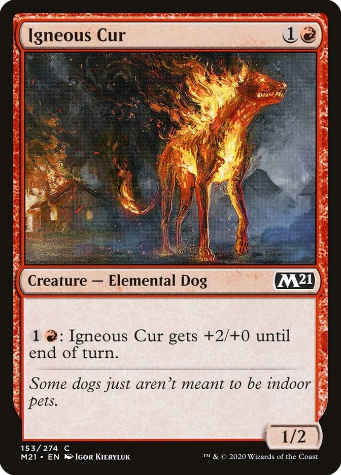 Image for Igneous Cur (153) - Magic: The Gathering
