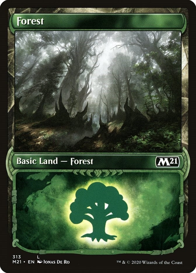 Image for Forest (Showcase) (313) - Magic: The Gathering