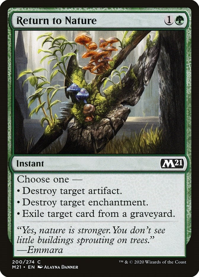Image for Return to Nature (200) - Magic: The Gathering