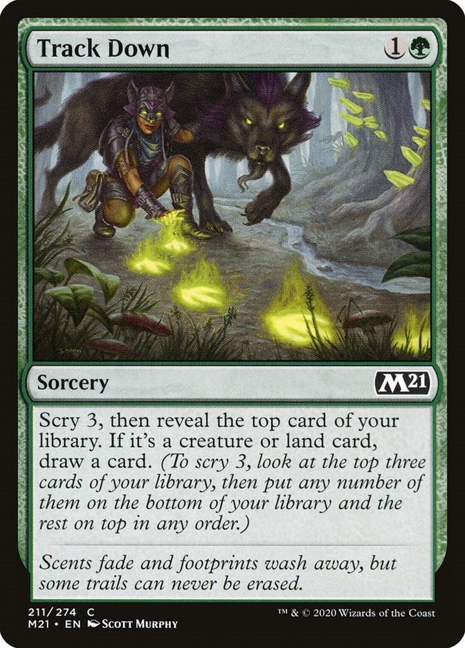 Image for Track Down (211) - Magic: The Gathering