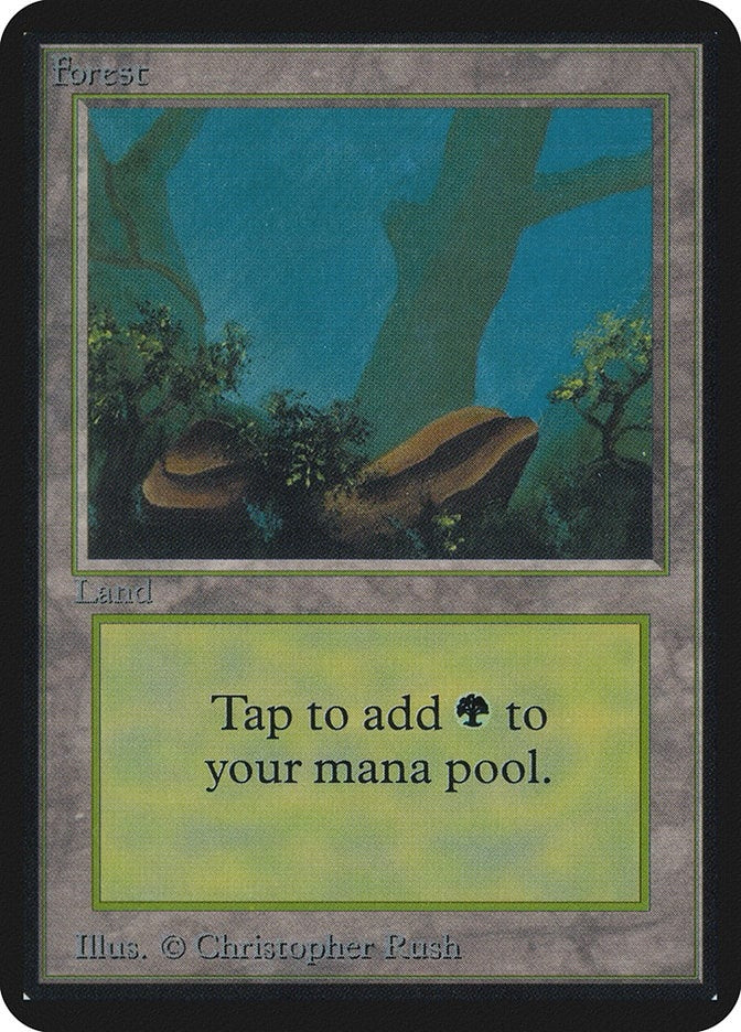 Image for Forest (A) - Magic: The Gathering