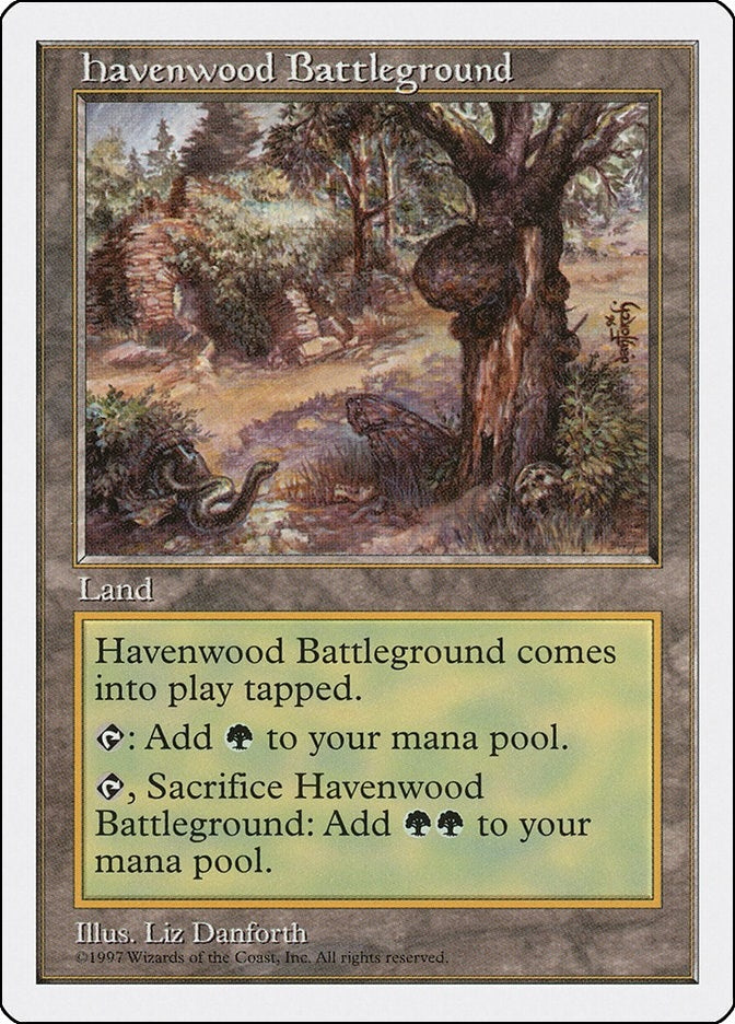Image for Havenwood Battleground - Magic: The Gathering