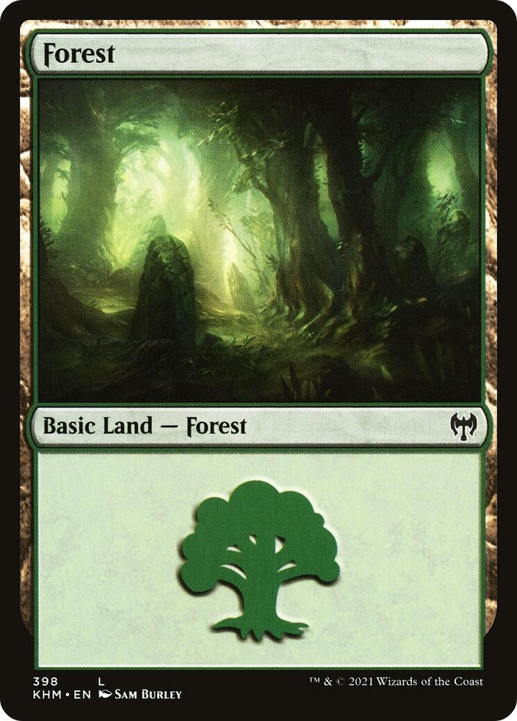 Image for Forest (398) - Magic: The Gathering