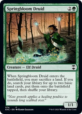 Image for Springbloom Druid (74) - Magic: The Gathering