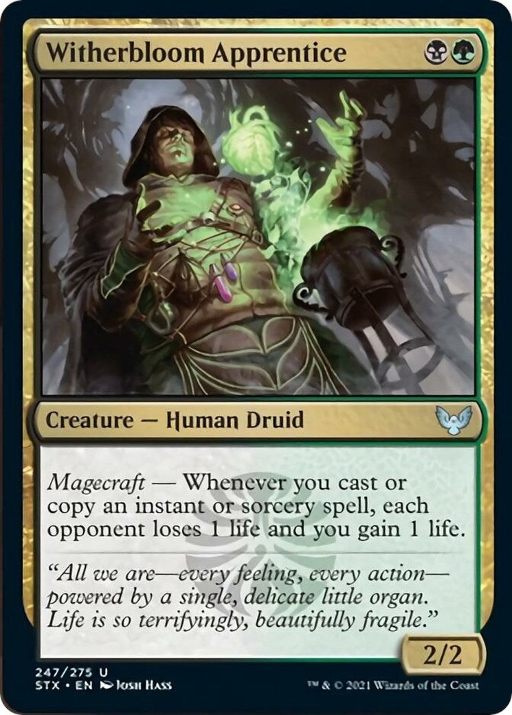 Image for Witherbloom Apprentice (247) - Magic: The Gathering