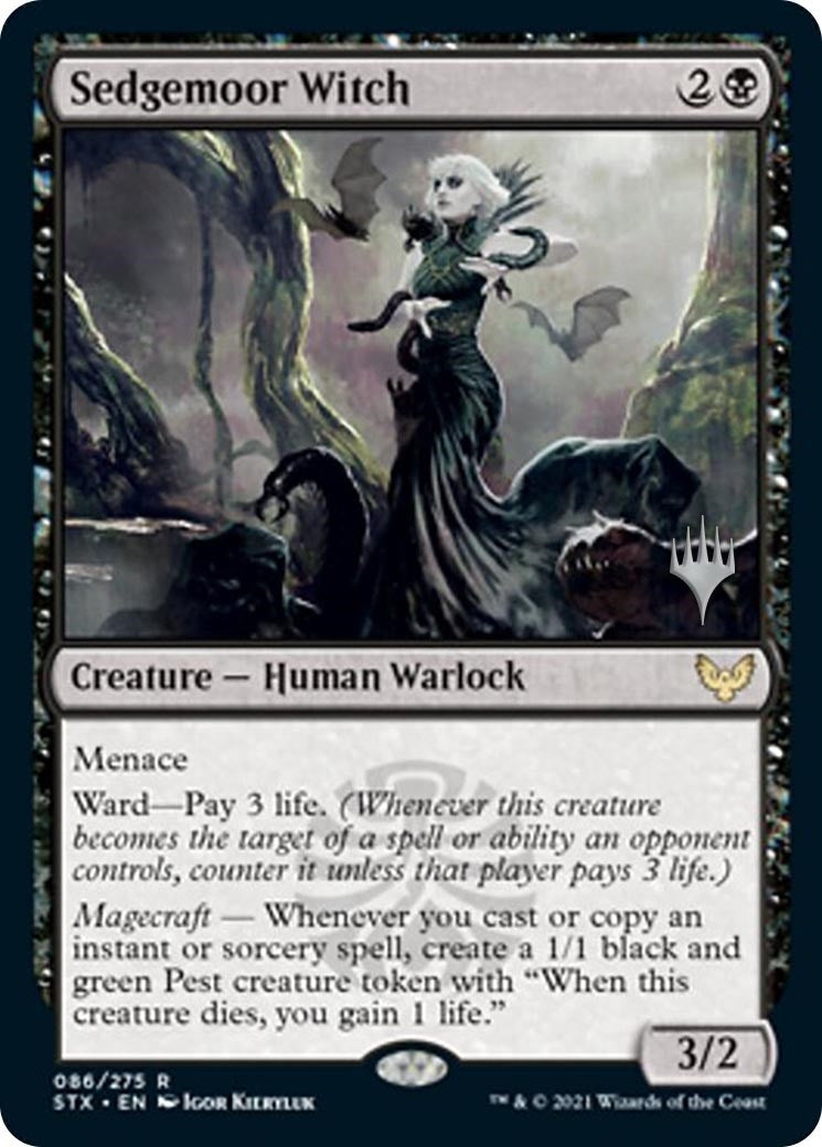 Image for Sedgemoor Witch (86) - Magic: The Gathering