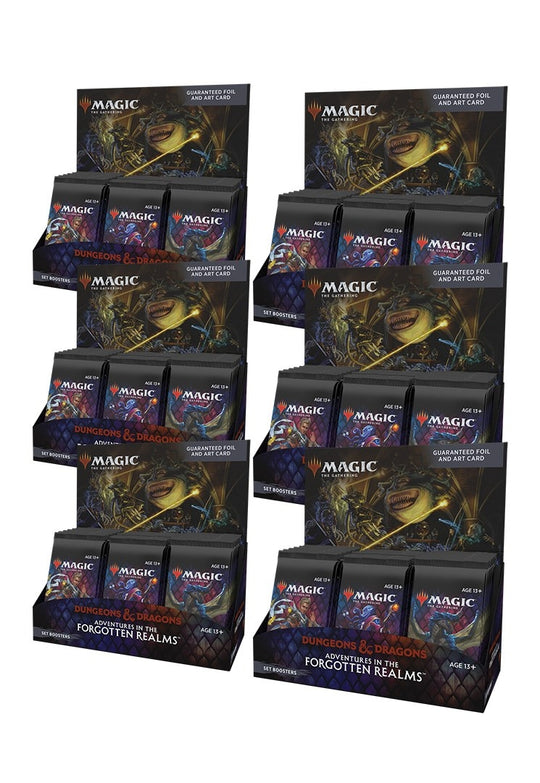 Image for Adventures in the Forgotten Realms - Set Booster Display Case - Magic: The Gathering