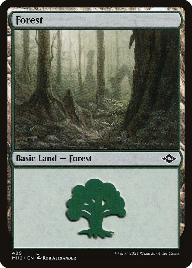 Image for Forest (489) (489) - Magic: The Gathering