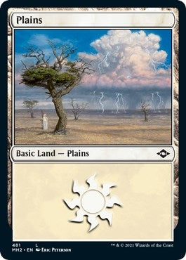 Image for Plains (481) (Foil Etched) (481) - Magic: The Gathering