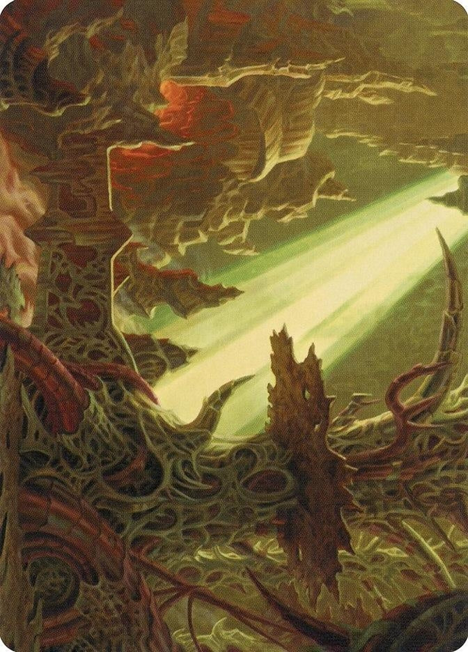 Image for Darkmoss Bridge Art Card (72) (ASMH2) - Magic: The Gathering