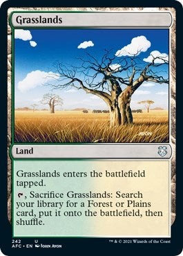 Image for Grasslands (242) - Magic: The Gathering