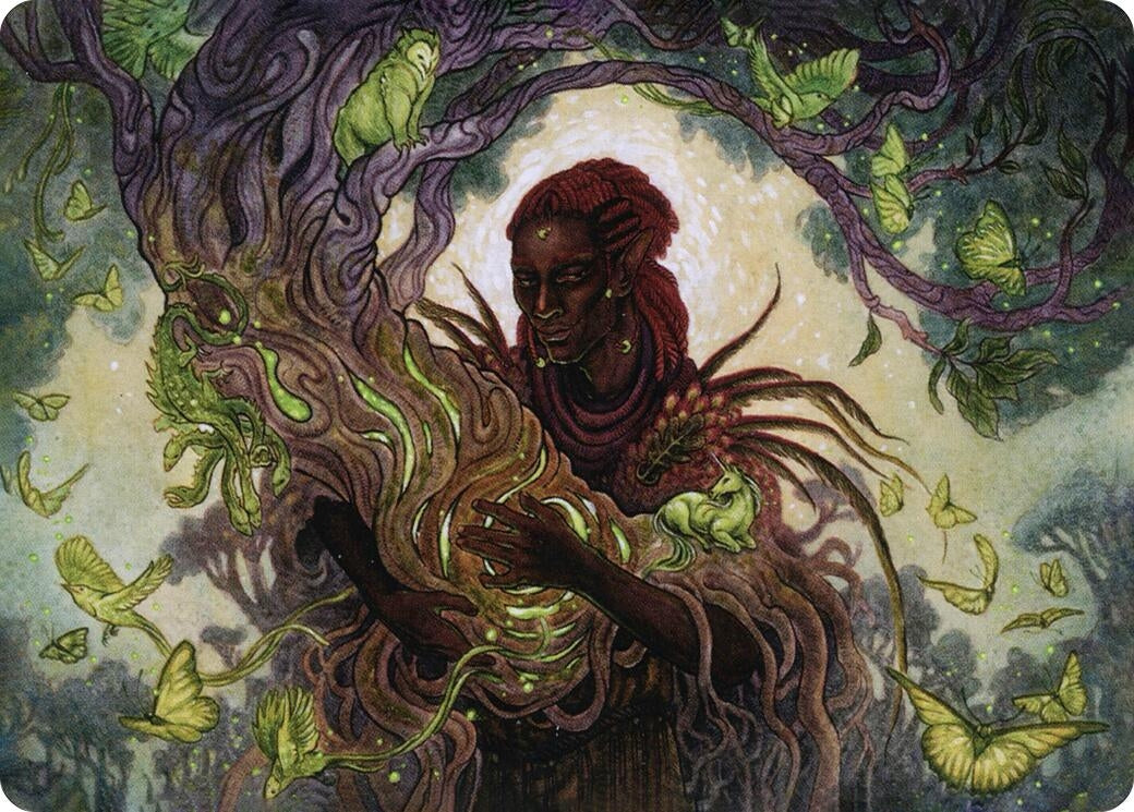 Image for Circle of Dreams Druid Art Card (66) (ASAFR) - Magic: The Gathering