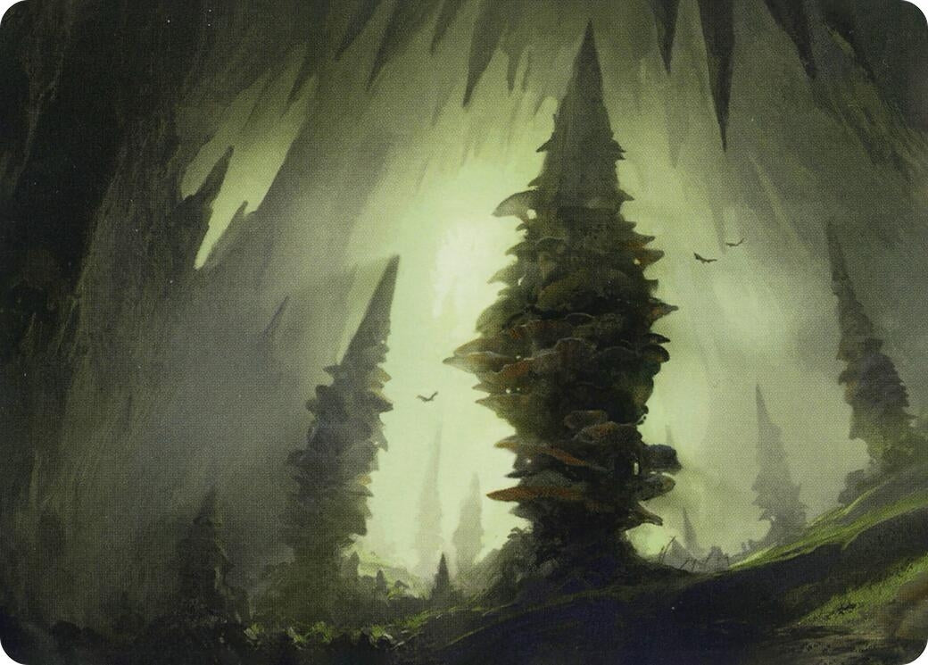 Image for Forest (55/81) Art Card (55) - Magic: The Gathering