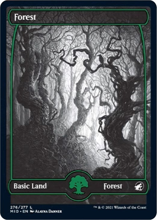 Image for Forest (276) (276) - Magic: The Gathering