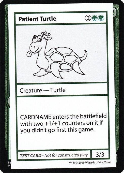Image for Patient Turtle (No PW Symbol) - Magic: The Gathering