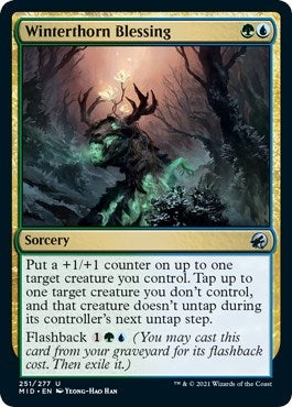 Image for Winterthorn Blessing (251) - Magic: The Gathering