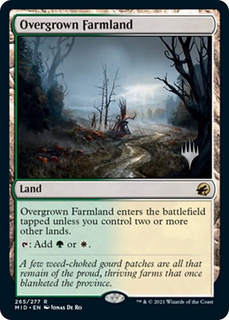 Image for Overgrown Farmland (265) - Magic: The Gathering
