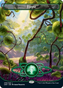 Image for Forest (239) (Borderless) (239) - Magic: The Gathering