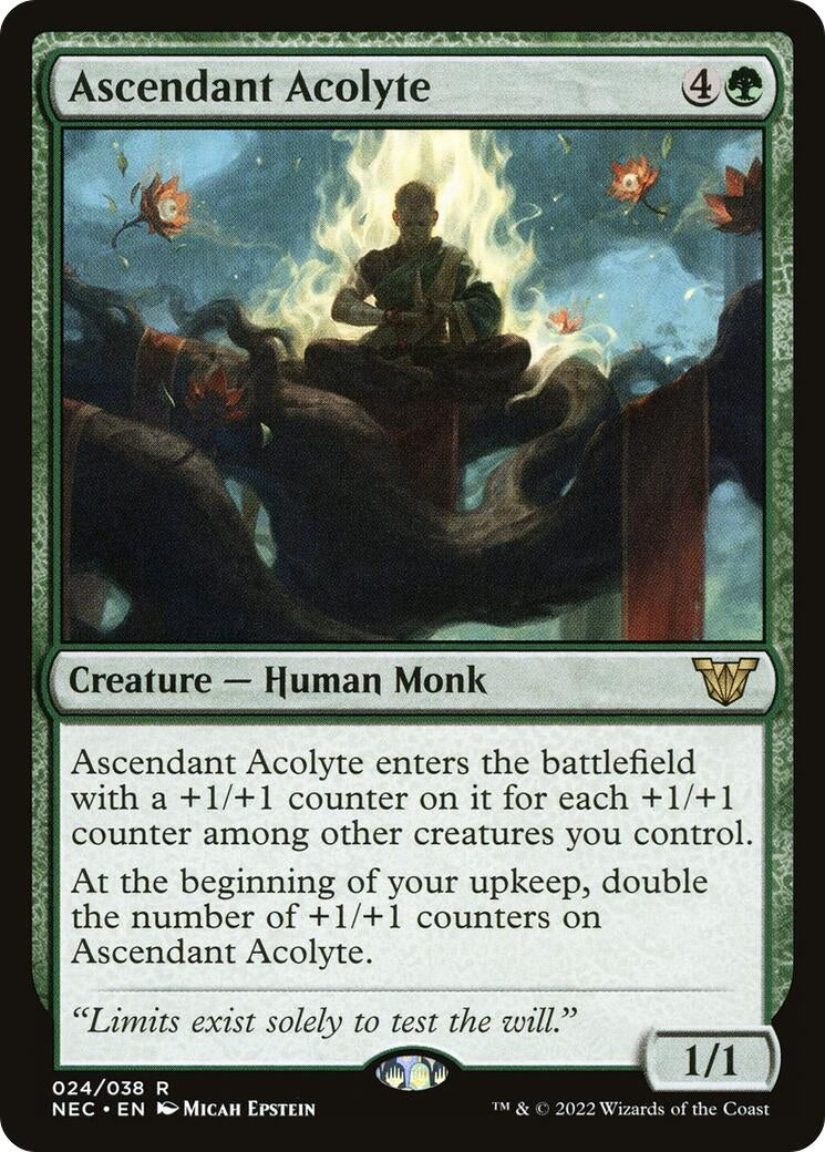 Image for Ascendant Acolyte (24) - Magic: The Gathering