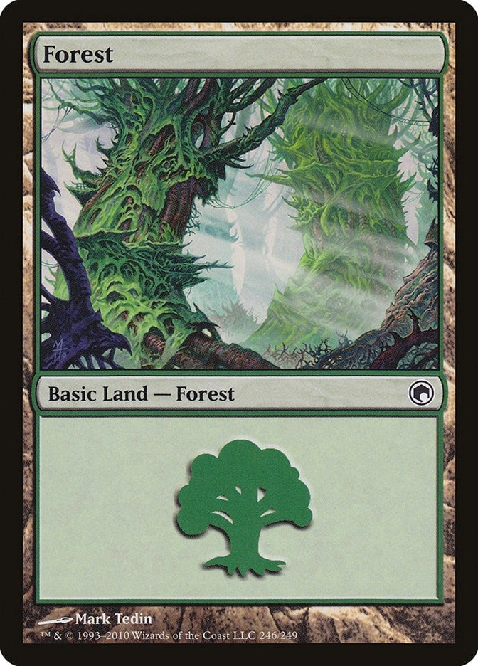 Image for Forest (246) (246) - Magic: The Gathering
